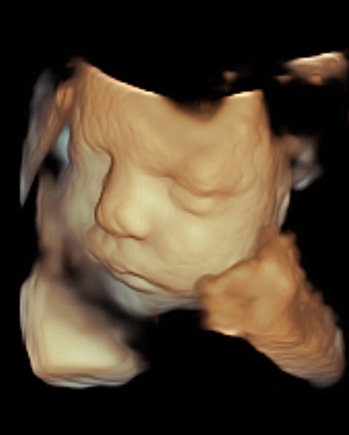 Habacuc Ortega Uriostegui-3