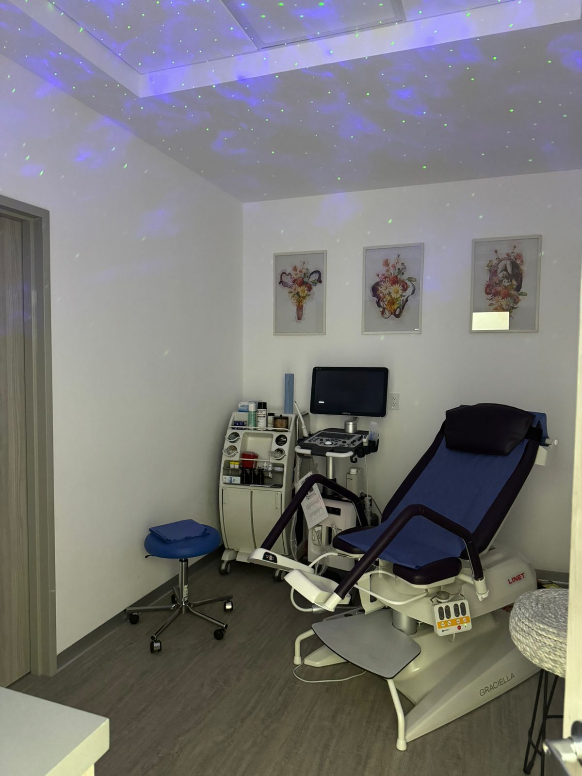 Evelyn Michan Husny-2