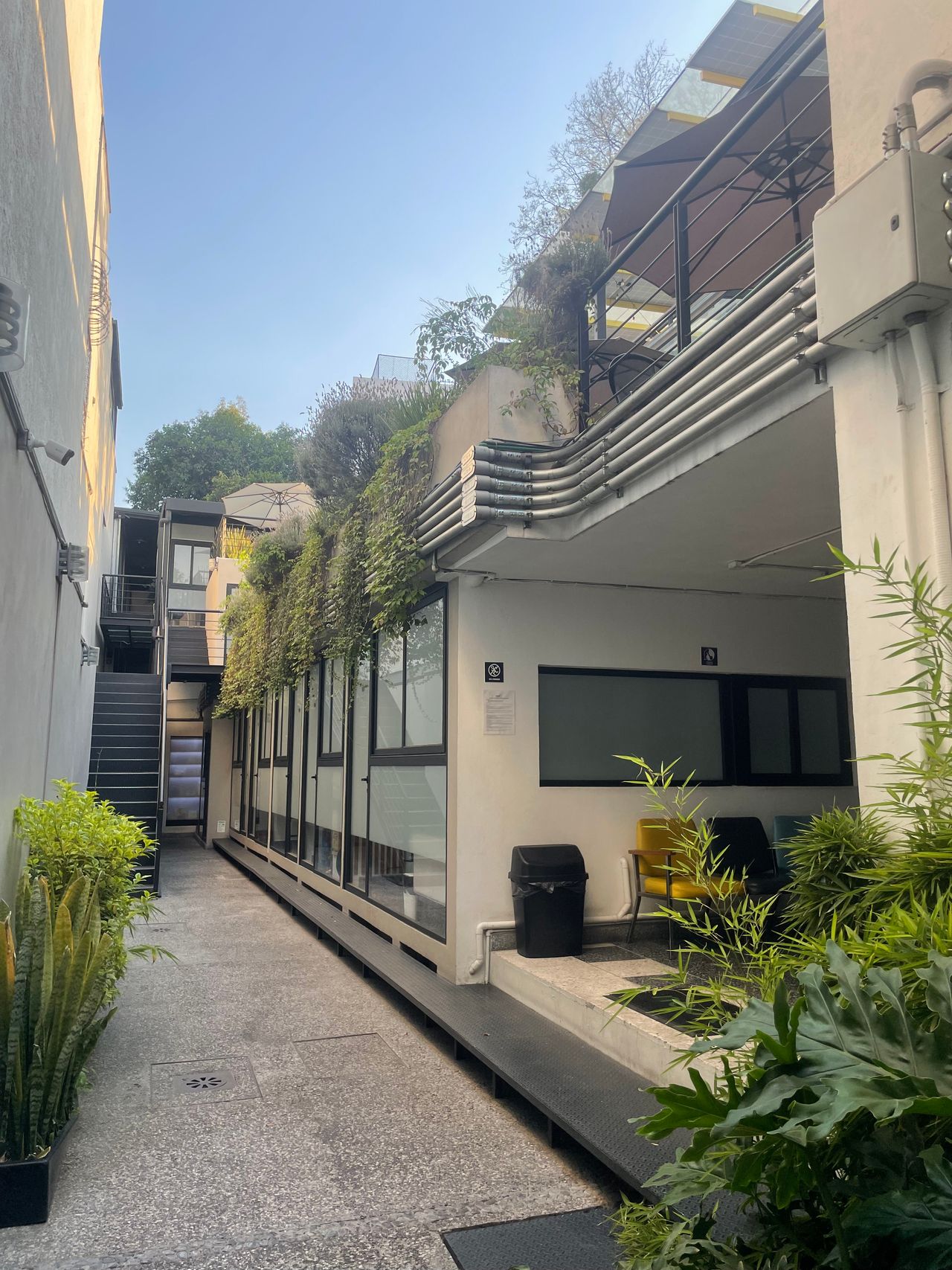 Ana Cecilia Vieyra Machado-3