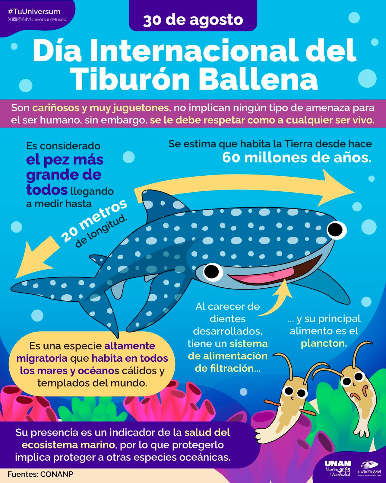 Raymundo Alejandro Cuevas Escalante-236