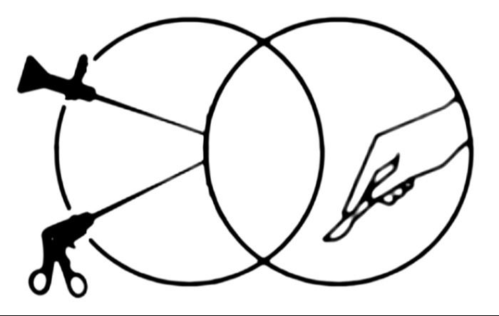 Jorge Carlos González Treviño-0