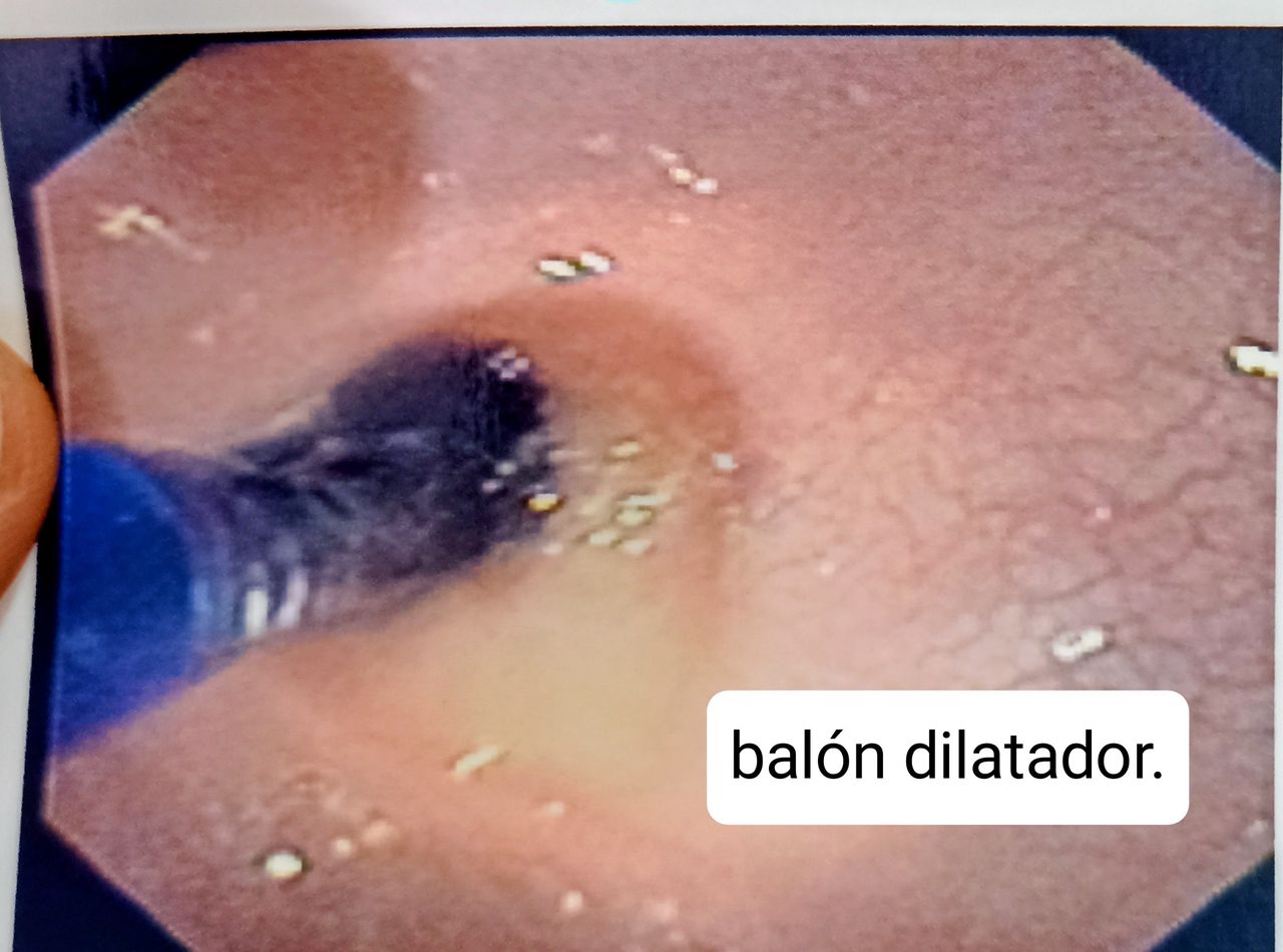 Luis Octavio Flores Romo-12