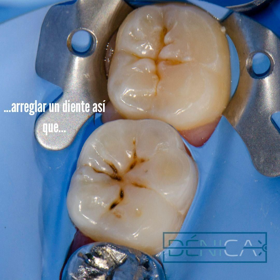 Maria De Las Mercedes González Sánchez-21