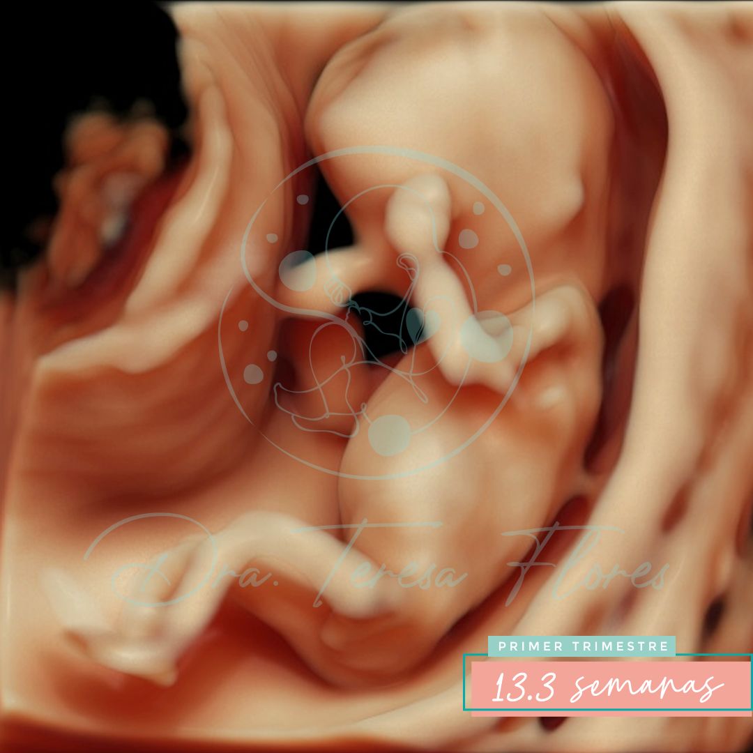 Teresa Miriam Flores Amador-1