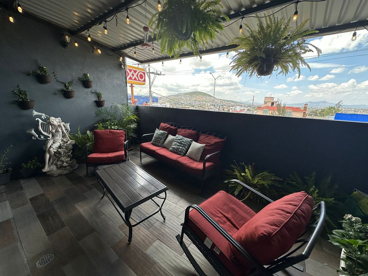 Fernando Pelaez Castañeda-18