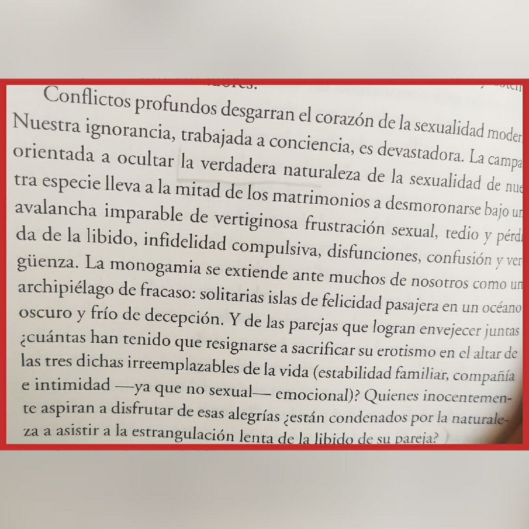 Cecilia Pingarrón-17
