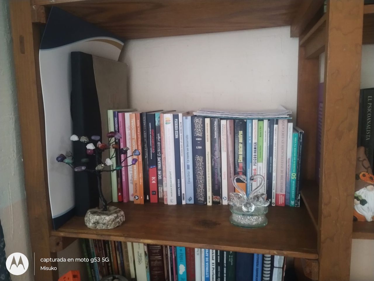 Ariana Belén Martínez González-0