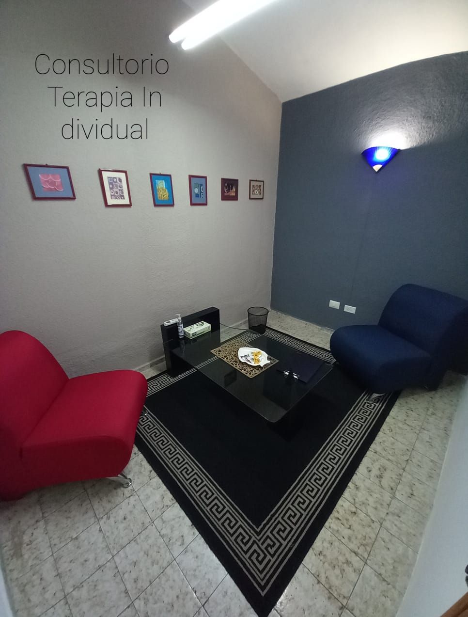 Silvia Domingo Cruz-0