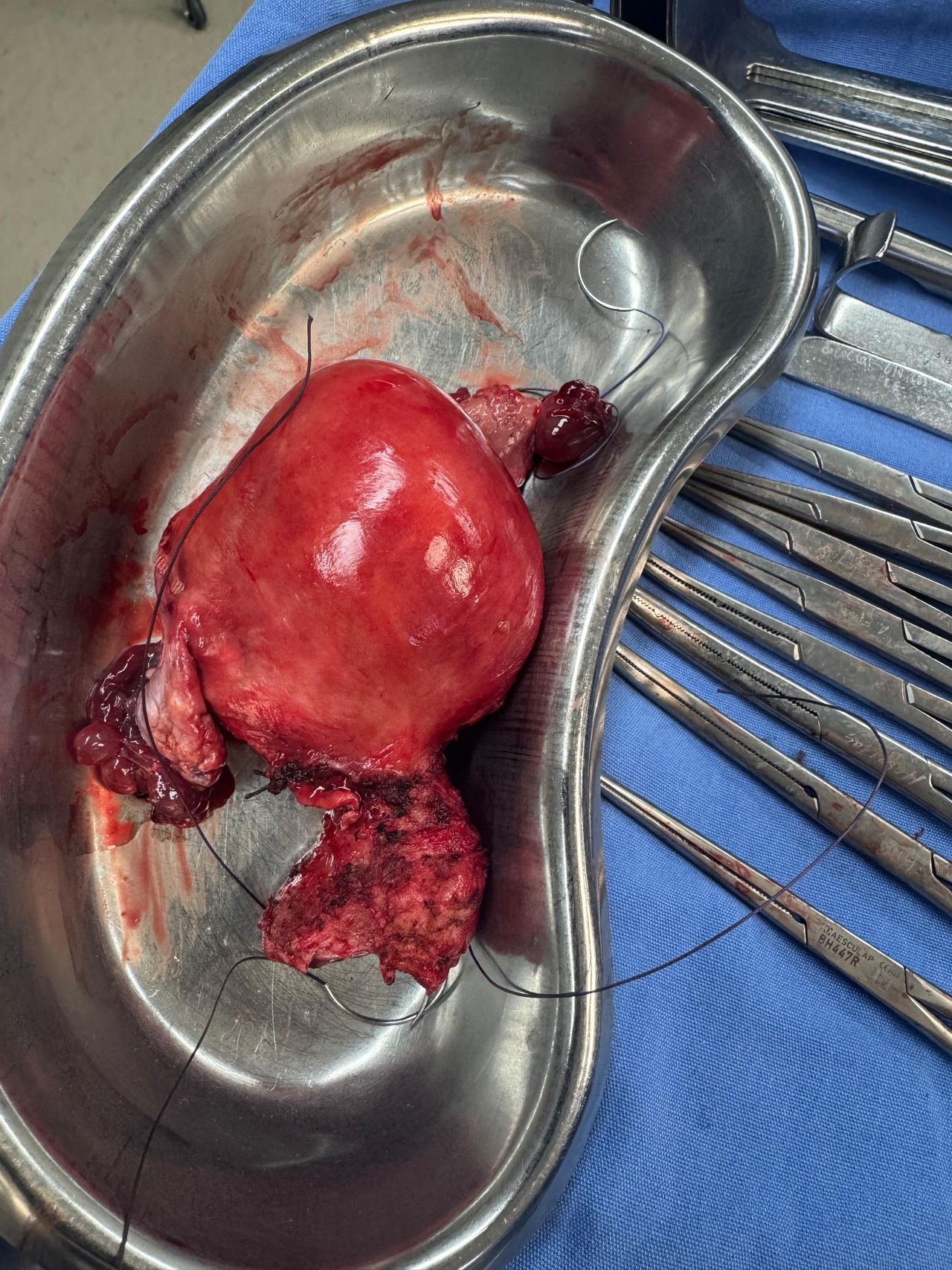 Efrain Ralero Castello-9