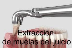 Wendy Sánchez P.-17