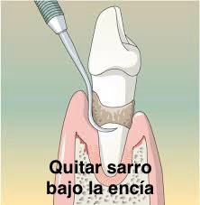 Wendy Sánchez P.-30