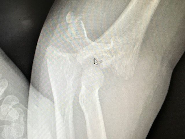 Julián Hernández Anaya-7