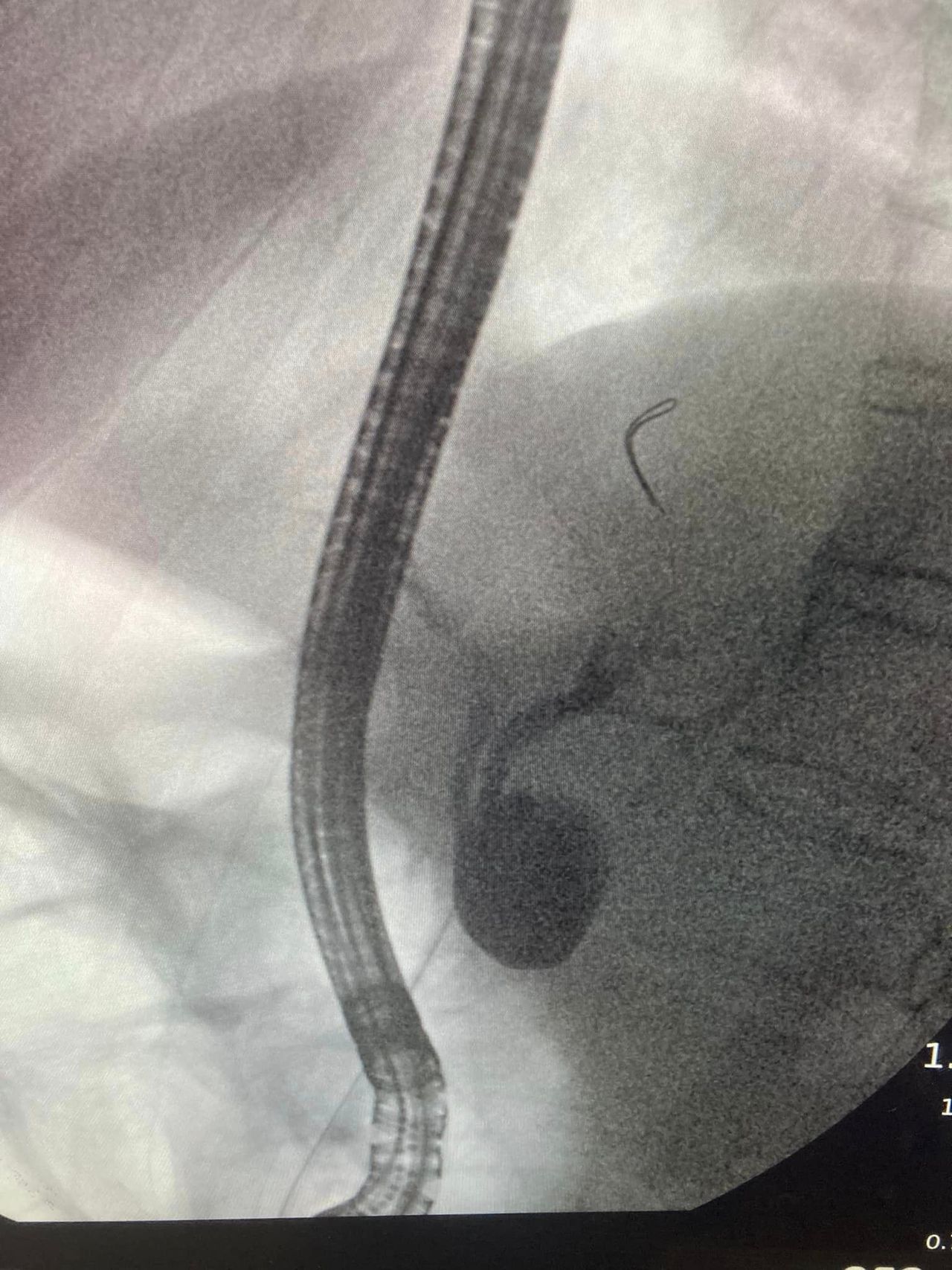 J. César Reyes Vásquez-4