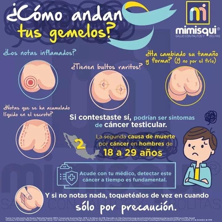 Alejandro Ibarra Ordóñez-25