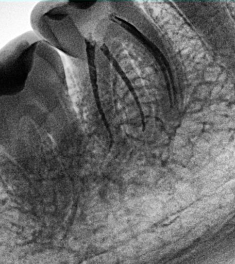 Dany Grizel Andrade Casas-8