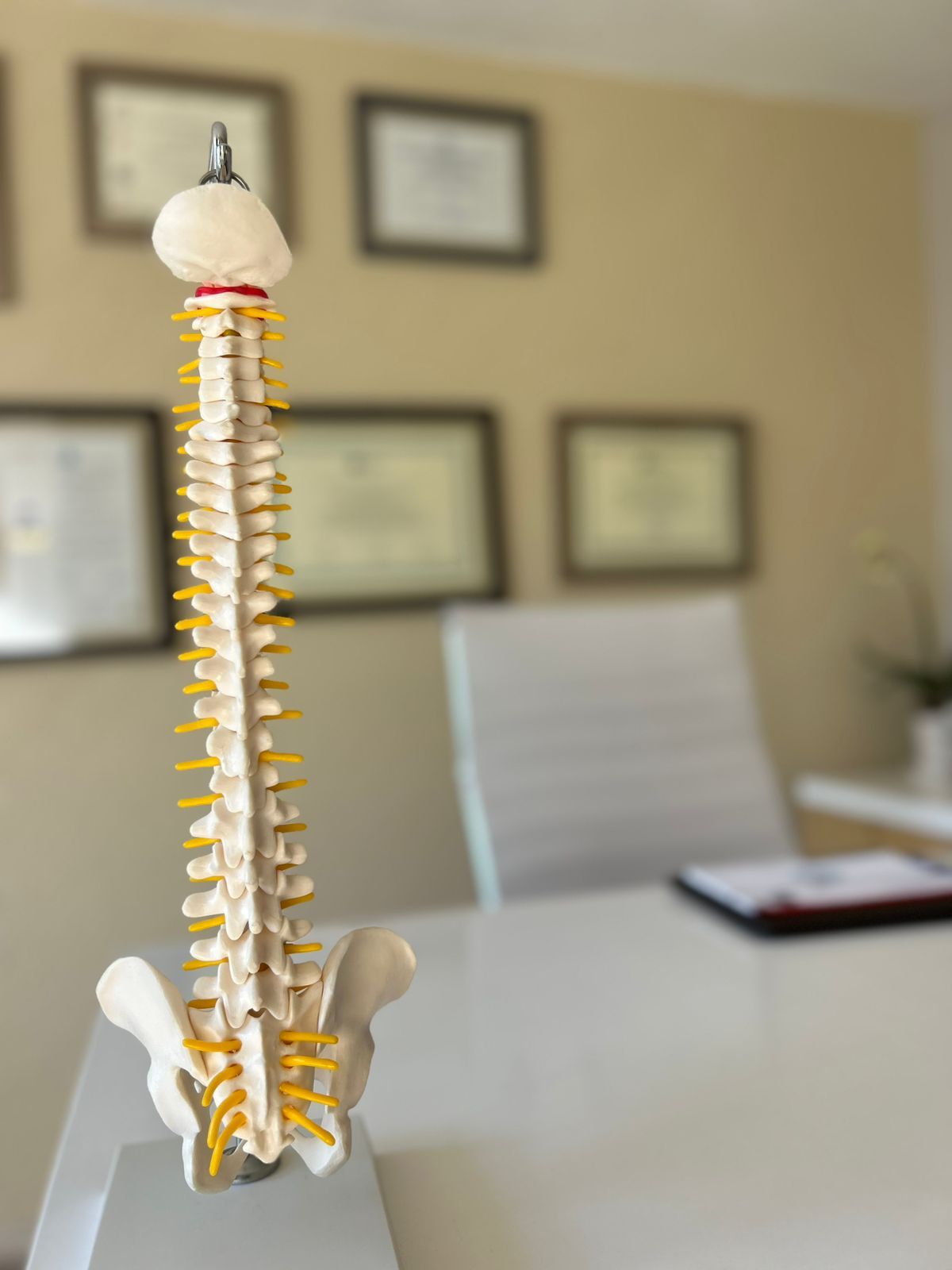 Arión Tane Ortega Montes De Oca-0