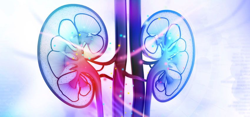 Víctor Noé Cervantes Gutiérrez-2