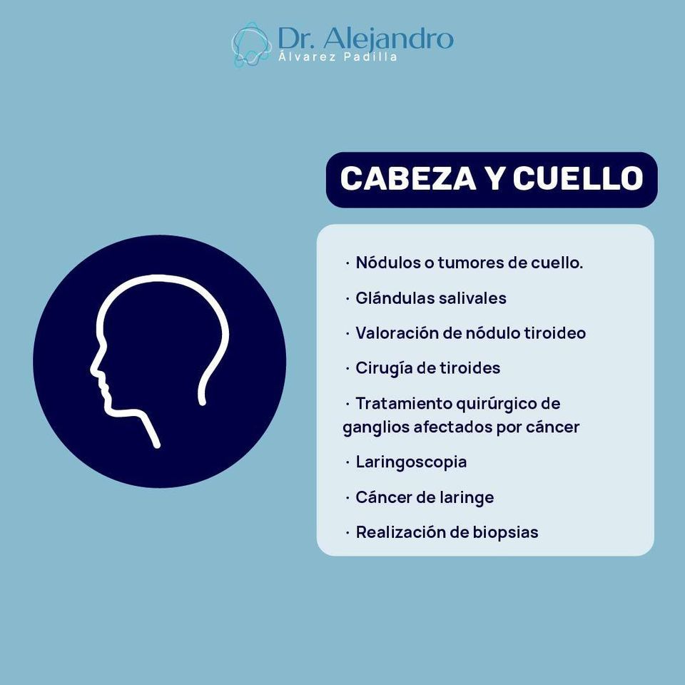 Alejandro Alvarez Padilla-13