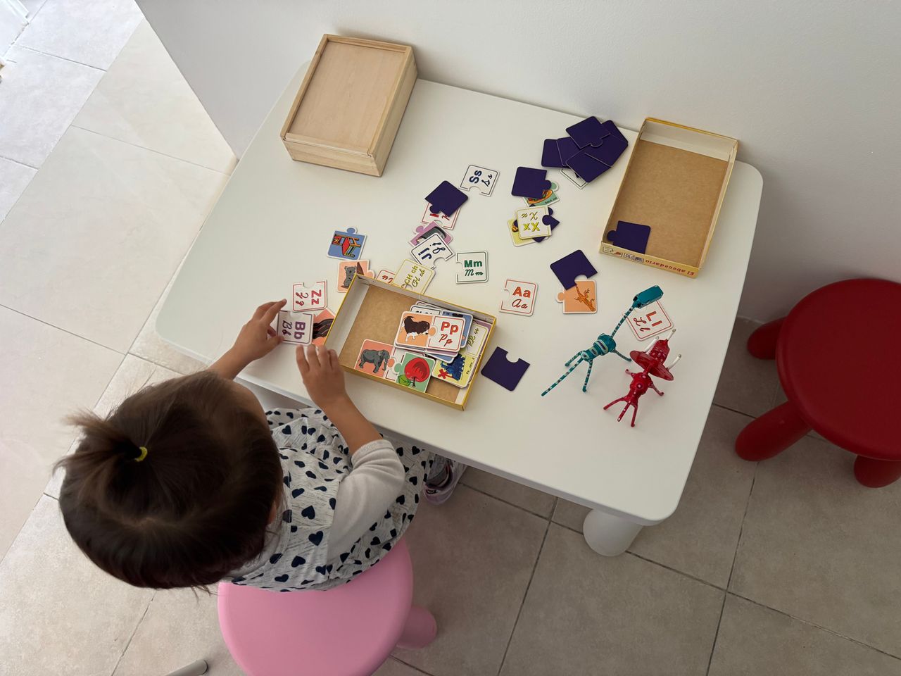 María Antonieta Cortés Rubio-0