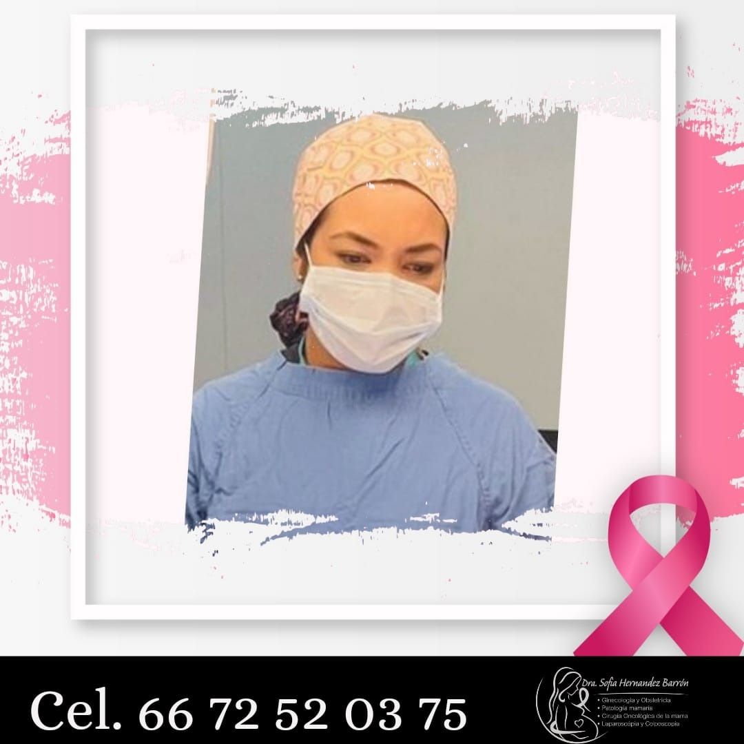 Sofia Lizett Hernandez Barron-7