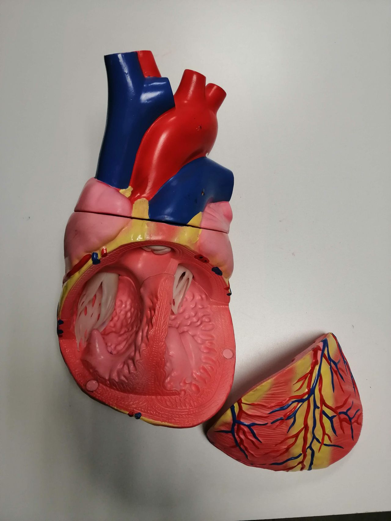 Juan Antonio Vega Rosales-6