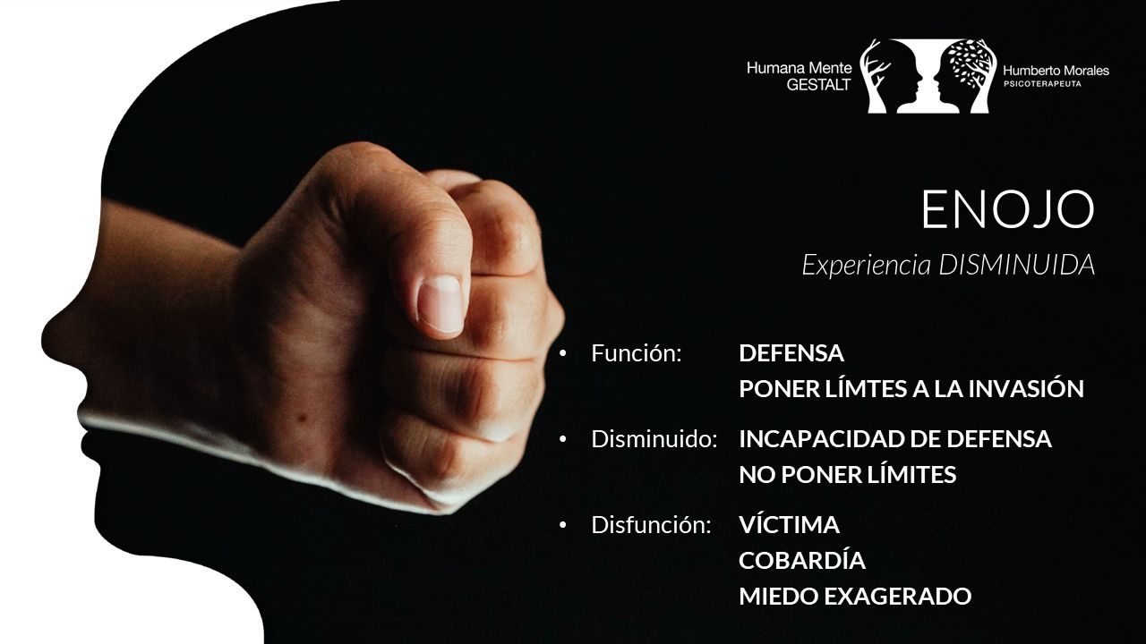 José Humberto Morales Galindo-21