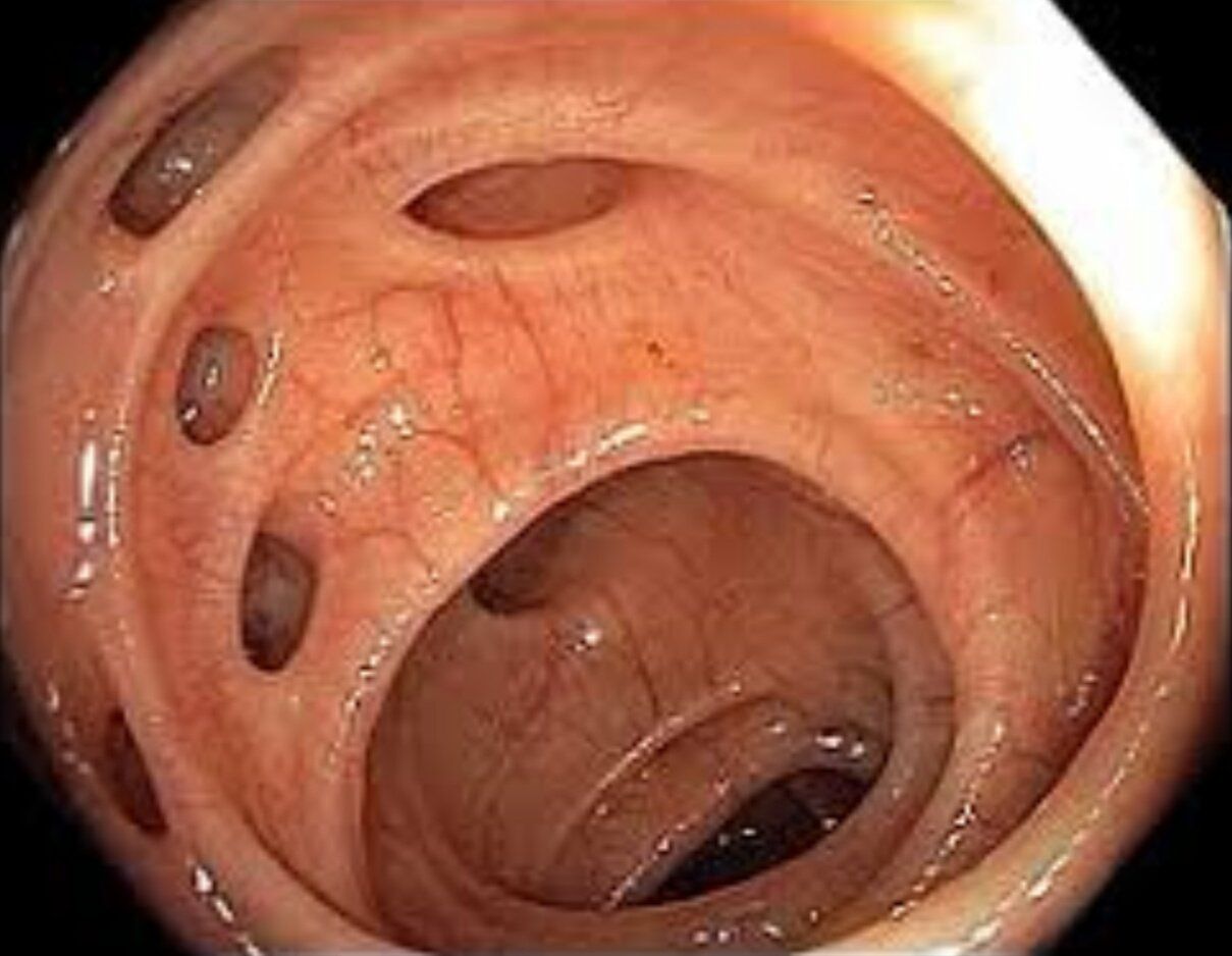 Francisco Javier Lopez Cabral-1