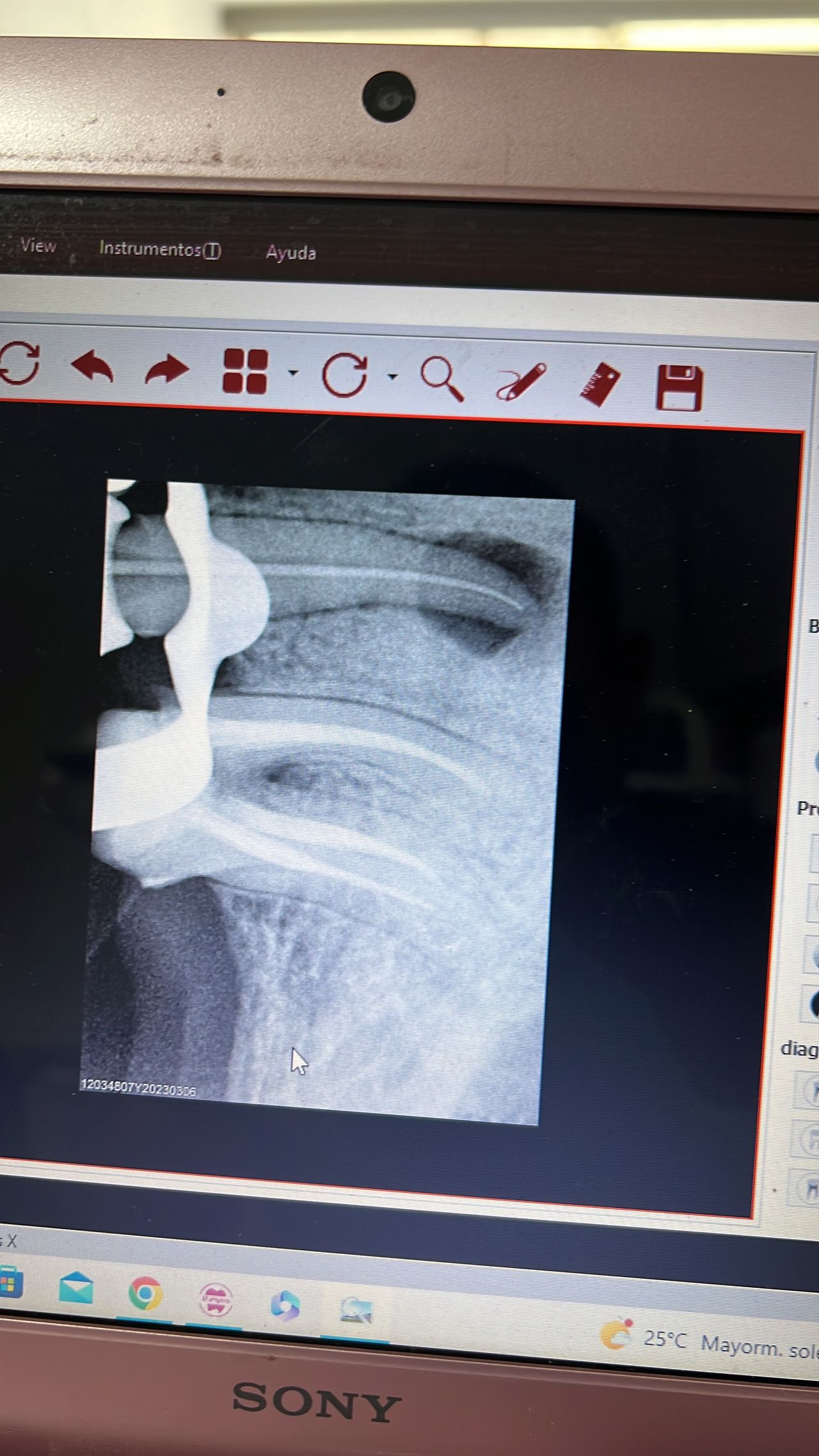 Oswaldo Sanchez Gonzalez-14