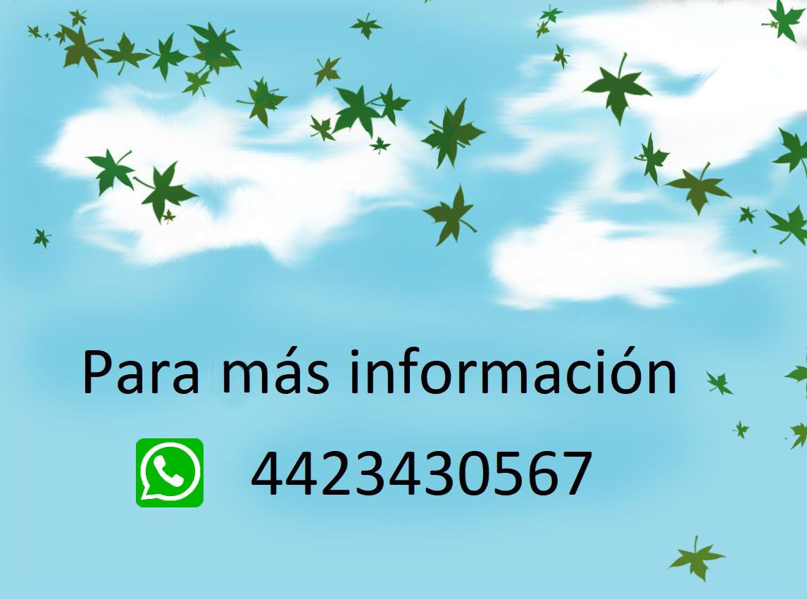 Leticia I. Vizuet-12