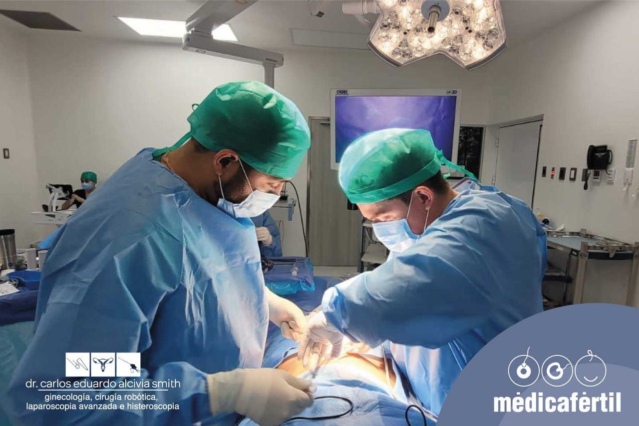 Carlos Eduardo Alcivia Smith-3