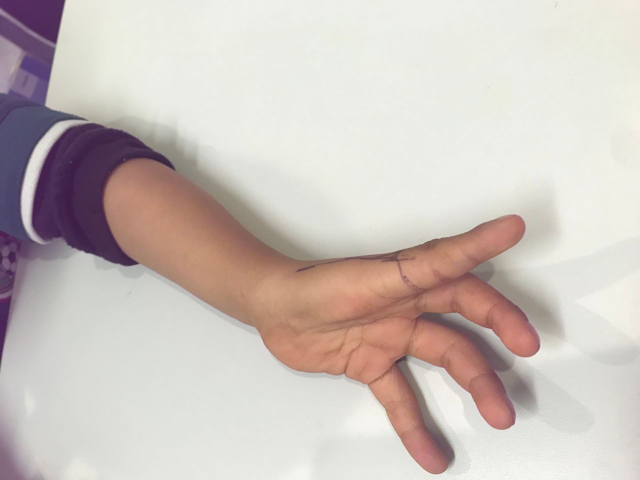 Ignacio Osvaldo Fortis Olmedo-26