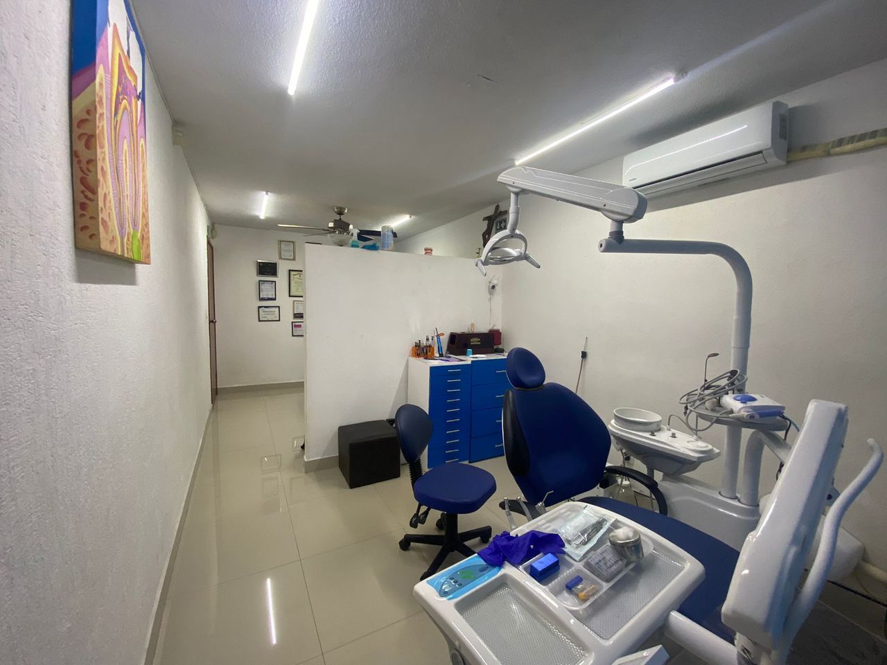 Laura Ceballos Brito-0