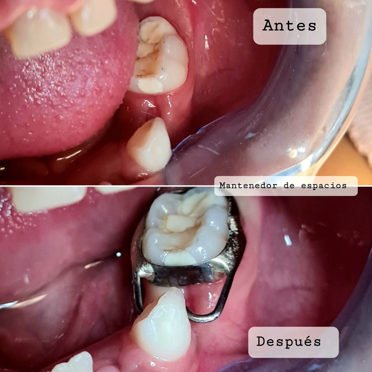 Aimée Quiroz Mendoza-65