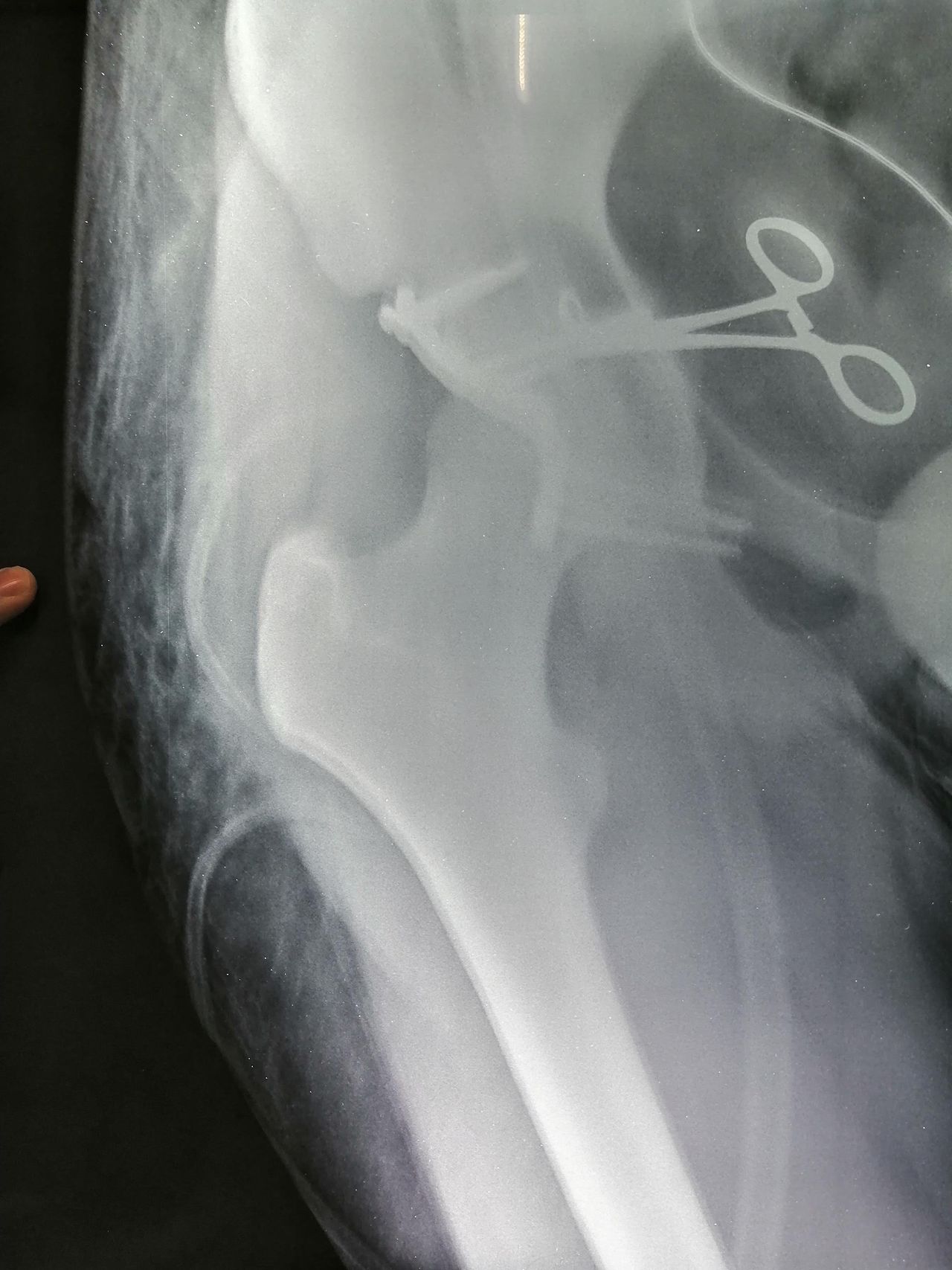 Jesús Guerra Jasso-12