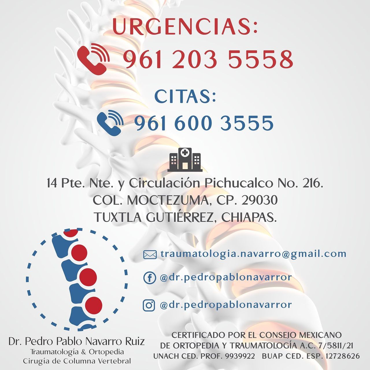 Pedro Pablo Navarro Ruiz-2