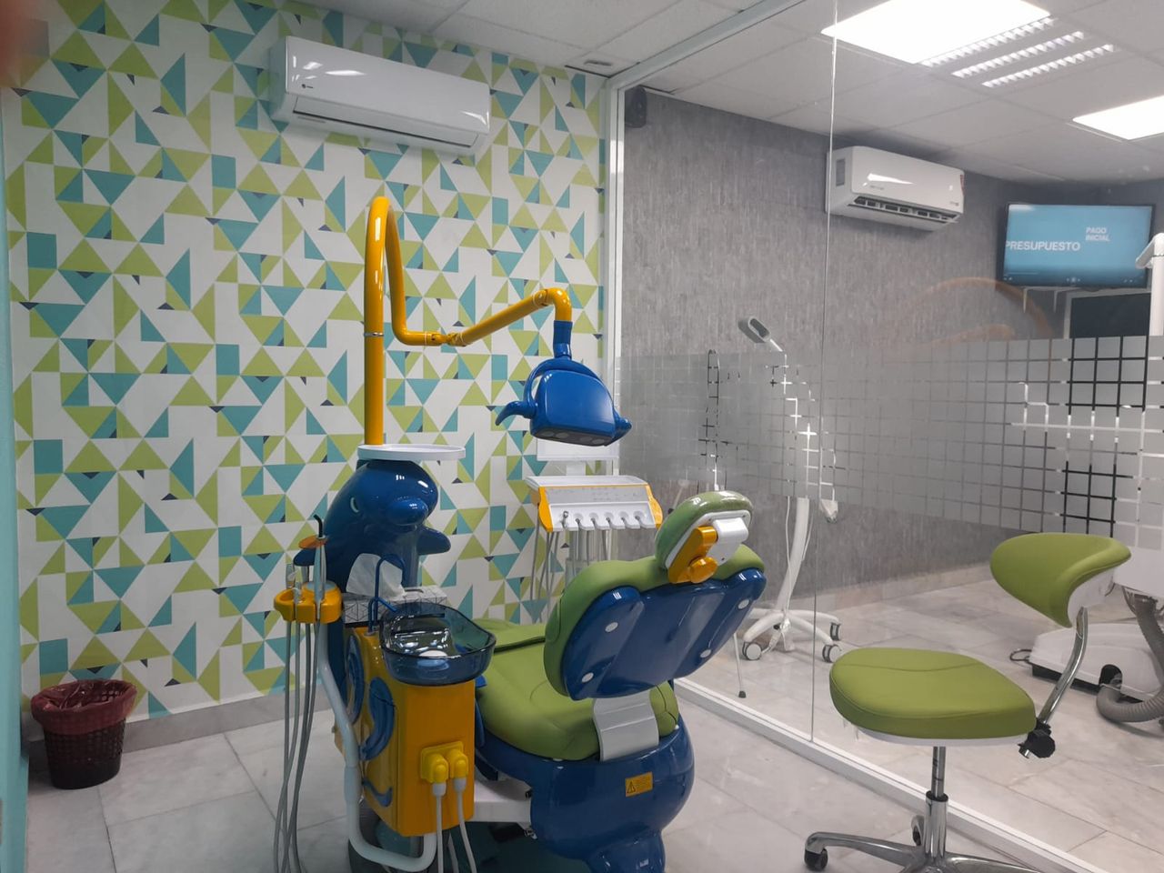 Fernando Velázquez Ibarra-0