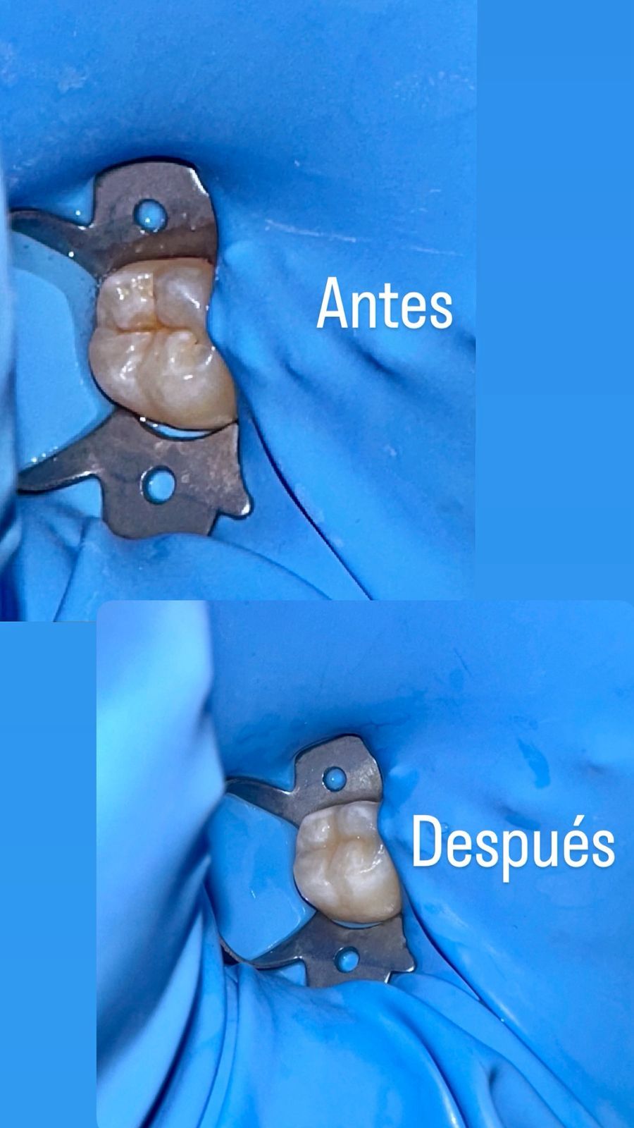 Leslie Guerrero Alcantar-4