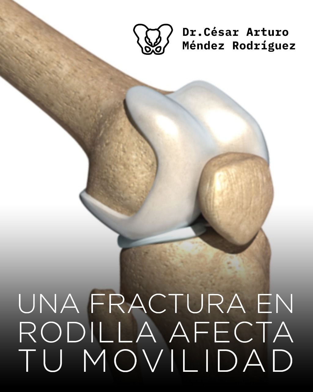 César Arturo Méndez Rodríguez-4