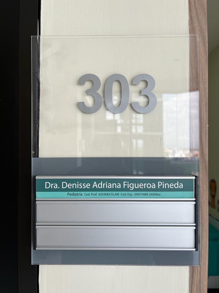 Denisse Adriana Figueroa Pineda-6