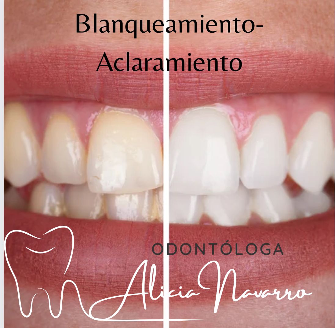 Alicia Araceli Navarro Burguete-19