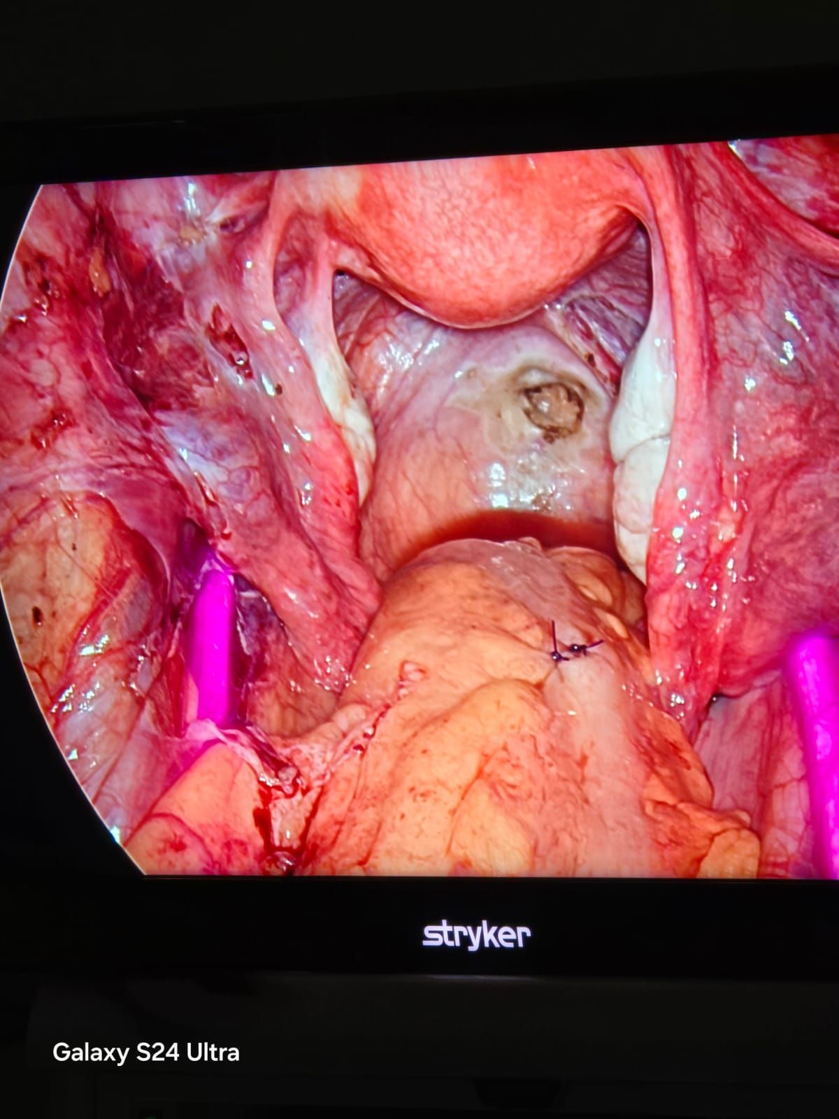 Carlos Manuel Carrera Maldonado-11