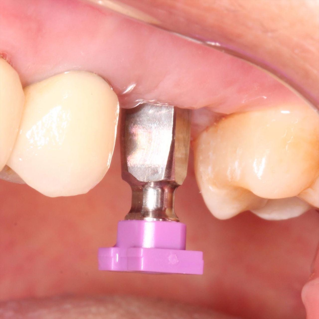 María Guadalupe García Figueroa-6