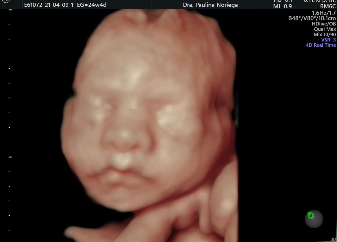 Luisa Paulina Noriega Jiménez-11