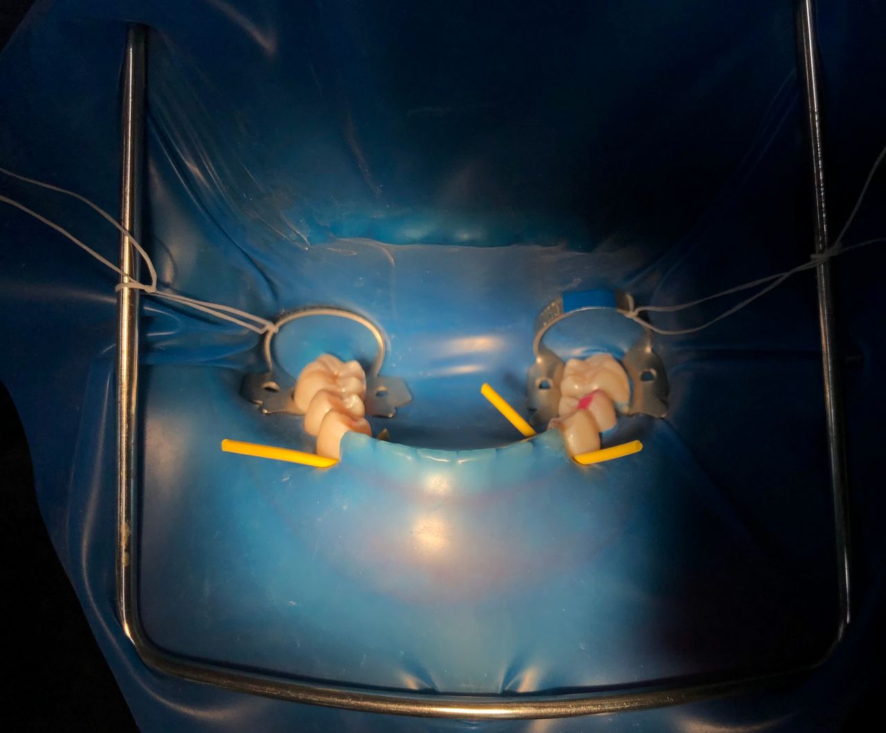 María Paula  Flores Novoa-90