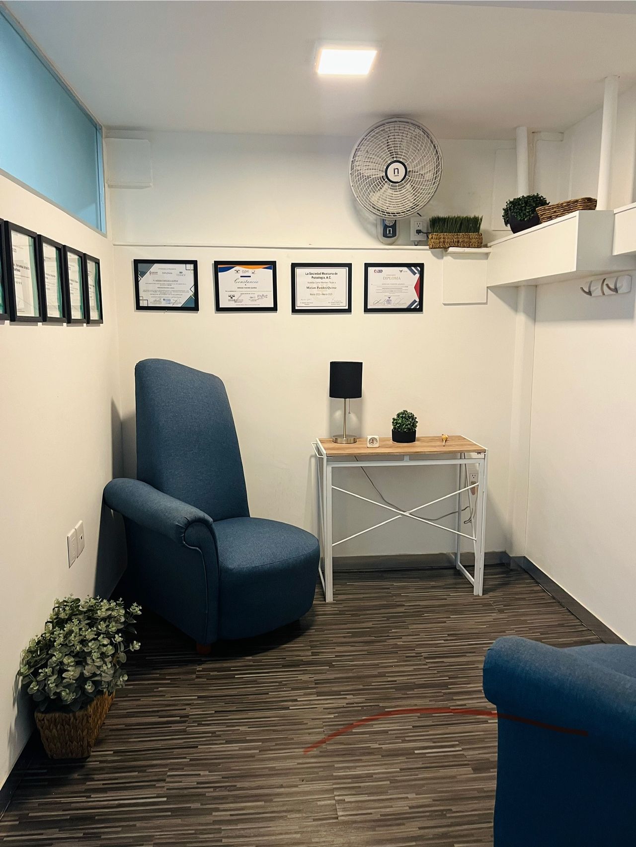 Claudia Barron Soriano-3