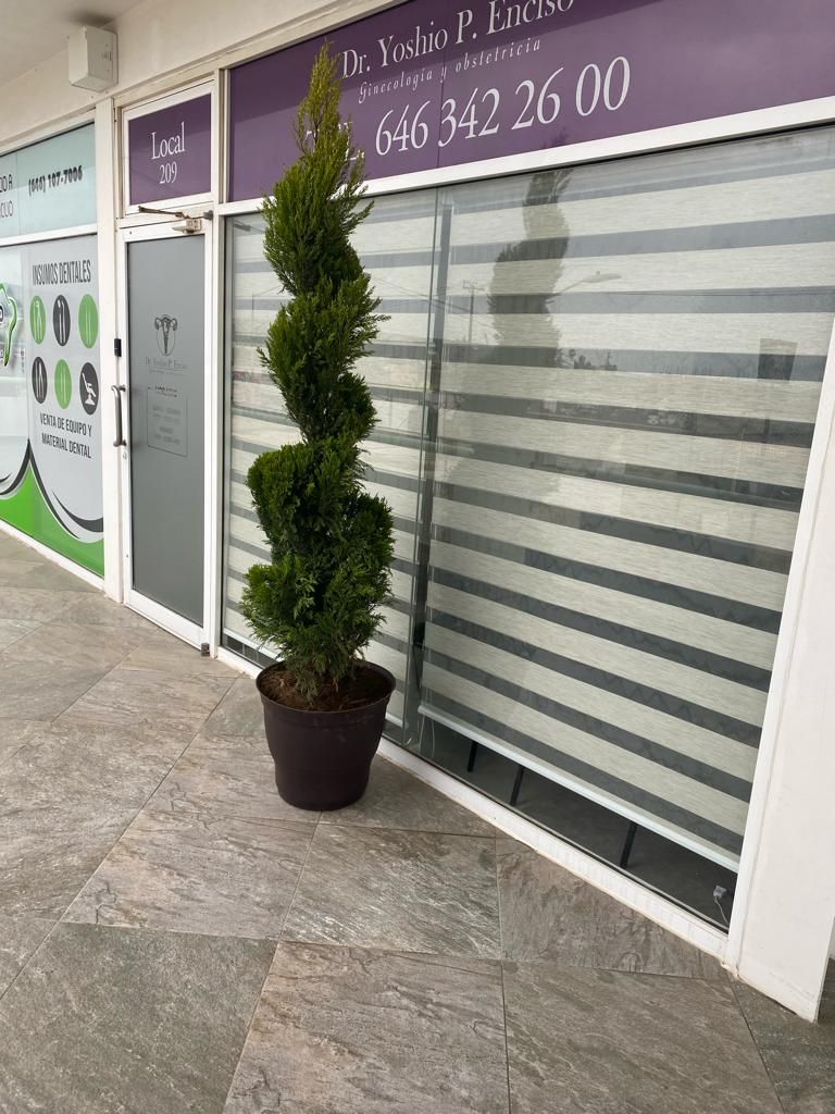 Yoshio Omar Payan Enciso-12