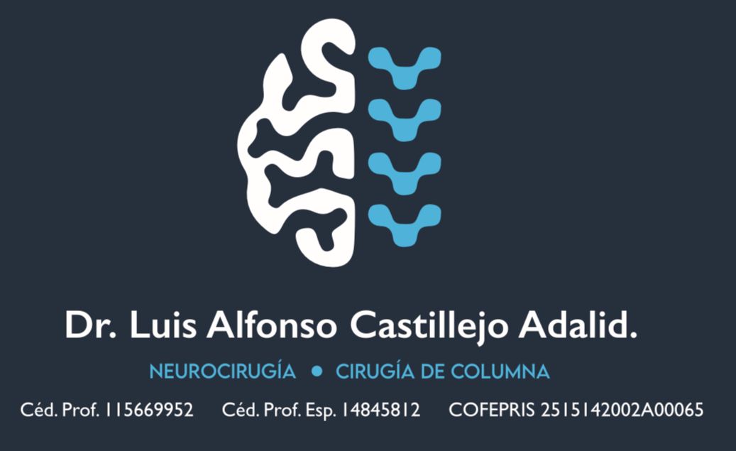 Luis Alfonso Castillejo Adalid-4
