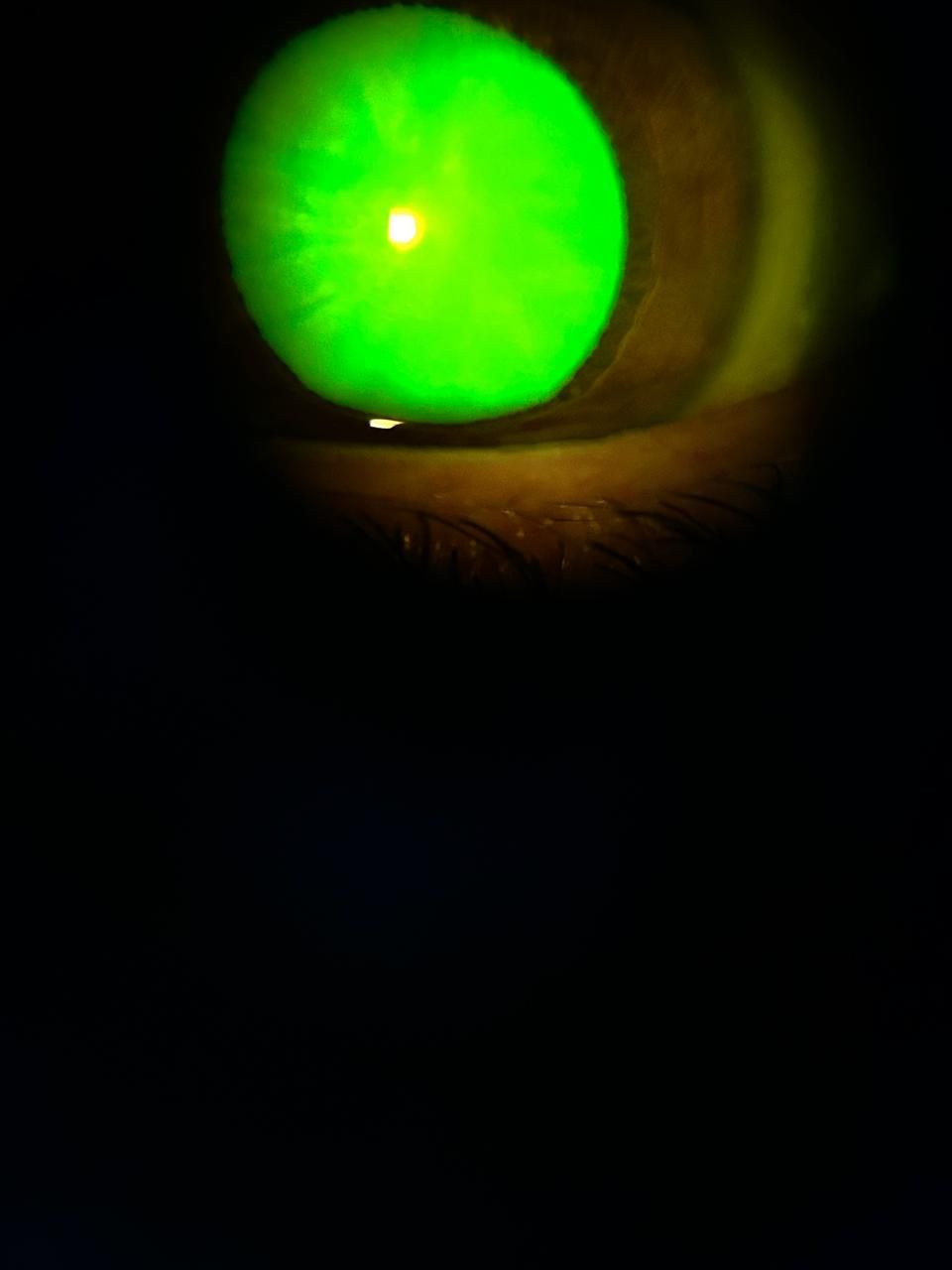 Daniel Martin Laguna Muñoz-59