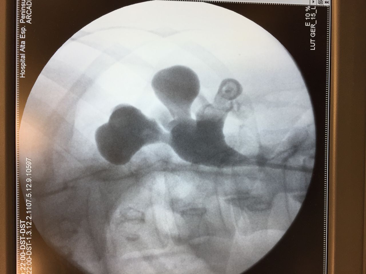 Francisco Emmanuel Navarrete Hernández-6