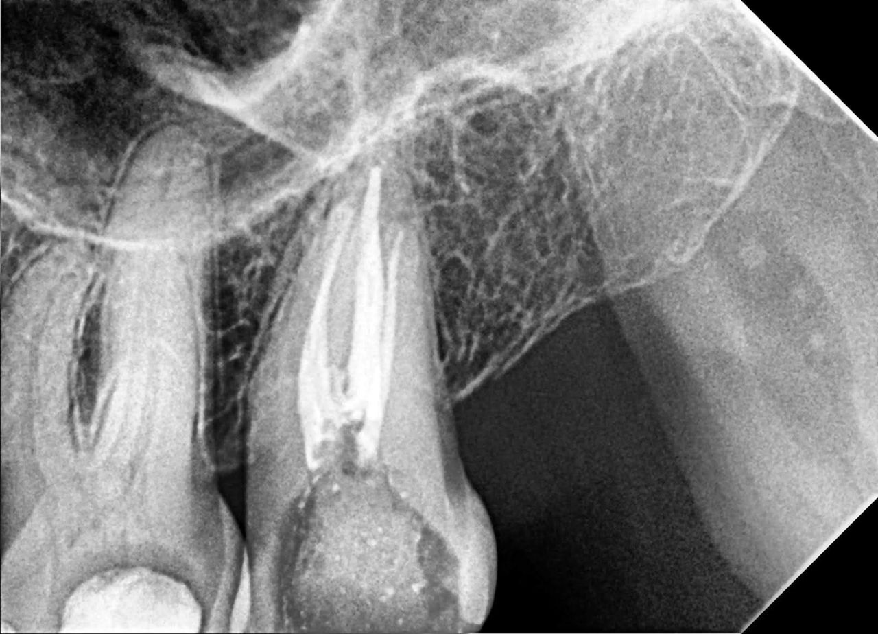 Karla I. Martinez Sosa-8